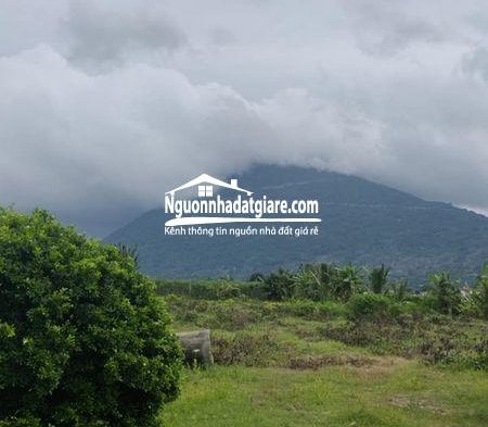 Bán đất view Núi Bà đen Tây Ninh chính chủ bán gấp tháng này