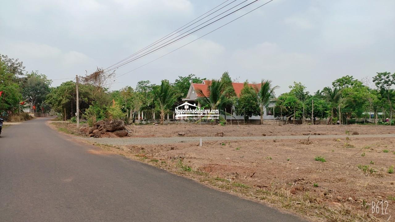 Bán đất Bình Phước, bán lỗ đất thổ cư ngay chợ, dân đông