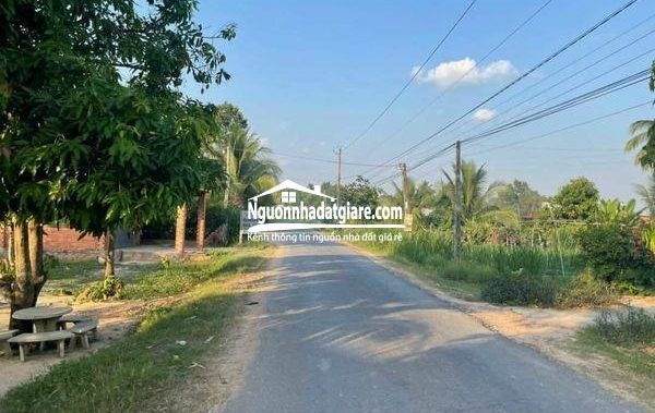 Bán đất Tây Ninh giá rẻ đường nhựa xã Thạnh Tây huyện Tân Biên