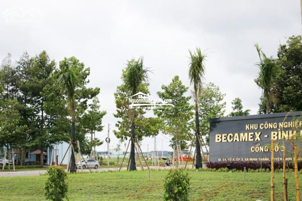 Bán đất Chơn Thành Bình Phước giá rẻ sổ sẵn, gần Becamex