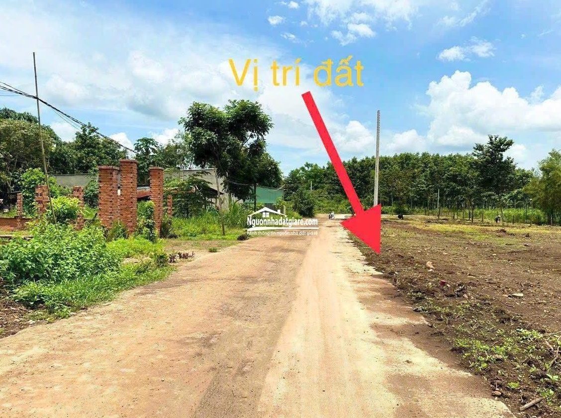 Chính chủ cần bán 1.800m2 có 450m2 thổ cư giá 160 triệu sổ sẵn