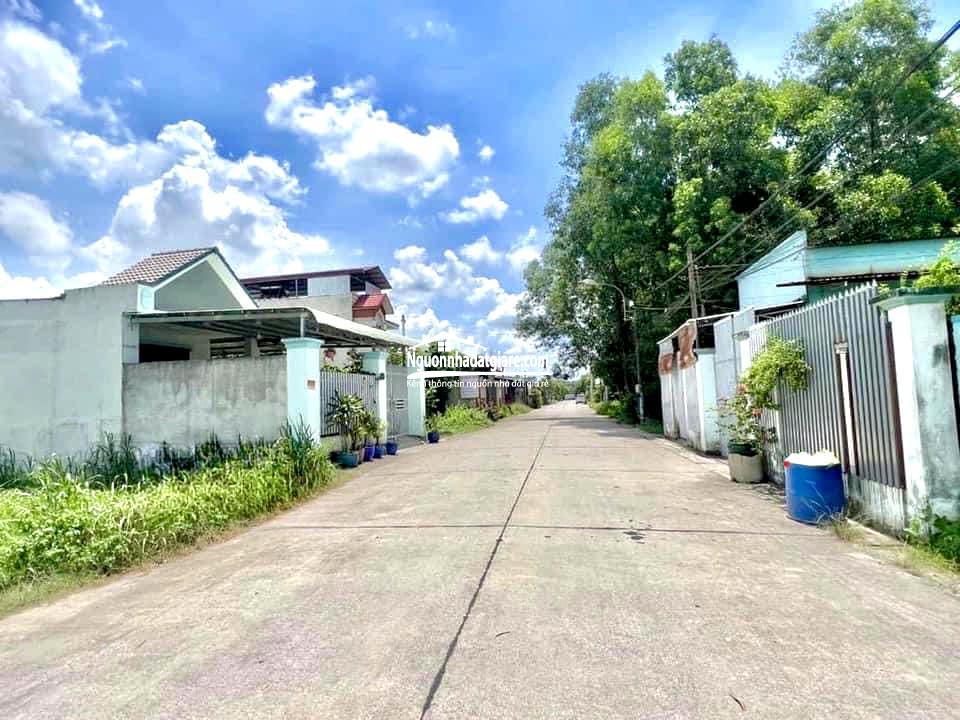 Bán lỗ gấp 6 sổ đất 2.100m2, chỉ có 115 triệu, đất thổ cư