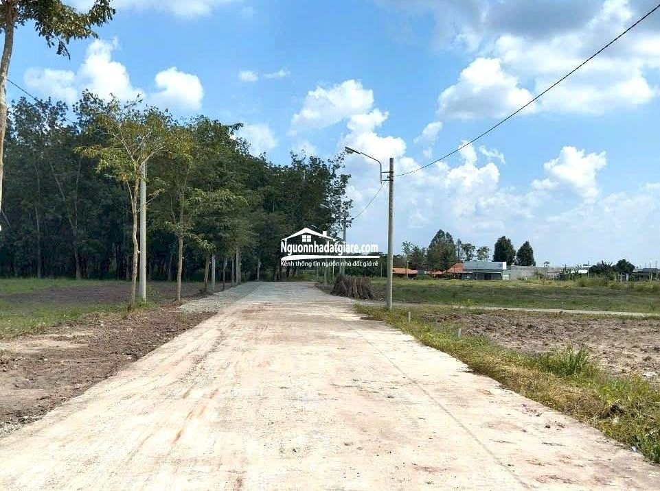 Cần tiền nên bán nhanh lô đất 1.500m2 giá 290 triệu