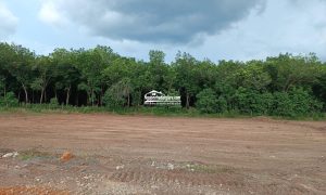 Bán đất Bình Phước, chủ kẹt tiền trả nợ cần bán gấp đất đường DT756B