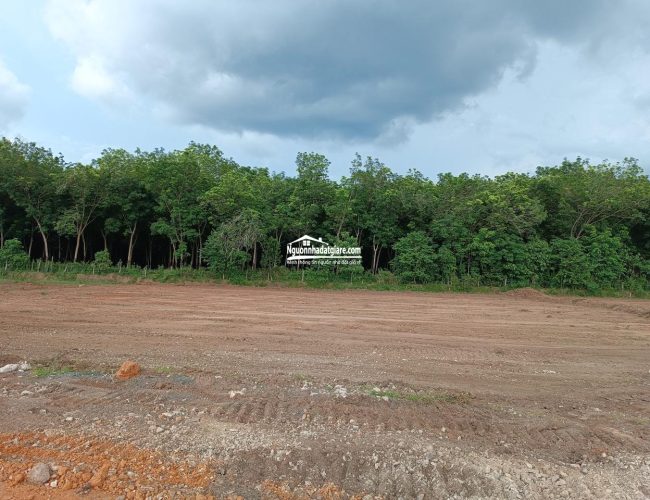 Bán đất Bình Phước, chủ kẹt tiền trả nợ cần bán gấp đất đường DT756B