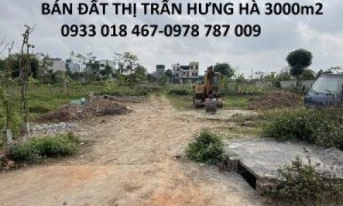 Bán đất xã tây đô, hưng hà, thái bình trục huyện 3000m2-2tr/m2