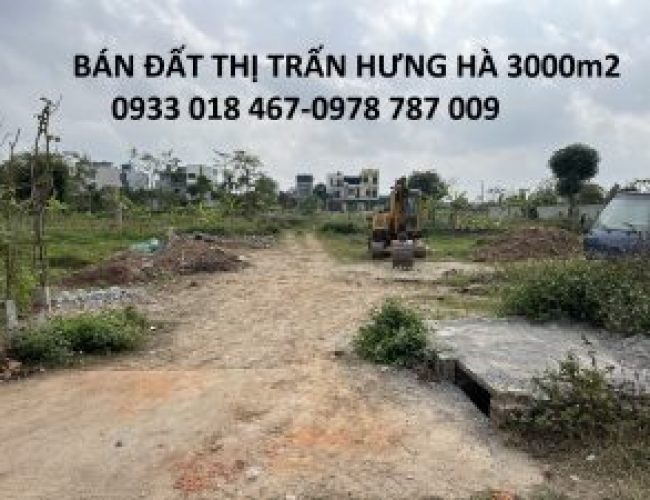 Bán đất xã tây đô, hưng hà, thái bình trục huyện 3000m2-2tr/m2