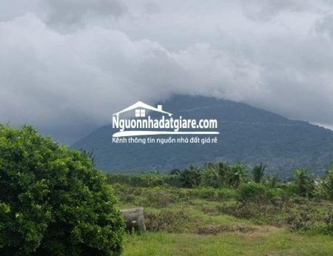 Bán đất view Núi Bà đen Tây Ninh chính chủ bán gấp tháng này