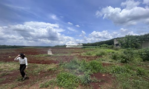 Đất sào giá rẻ tại Đồng Phú, Bán đất Bình Phước