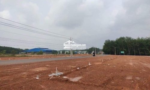 Bán đất Bình Phước giá hơn 500tr mà được 1000m2 sỗ sẵn