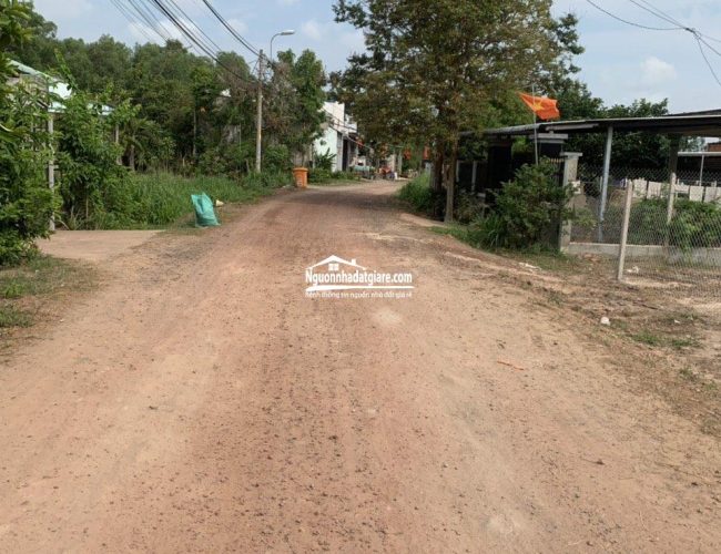 Bán đất Tây Ninh Tân Phú Tân Châu sẵn thổ cư mặt tiền đường