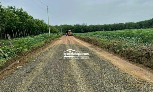 Cần bán đất Đồng Phú Bình Phước, lô đất ở Thuận Phú giá rẻ