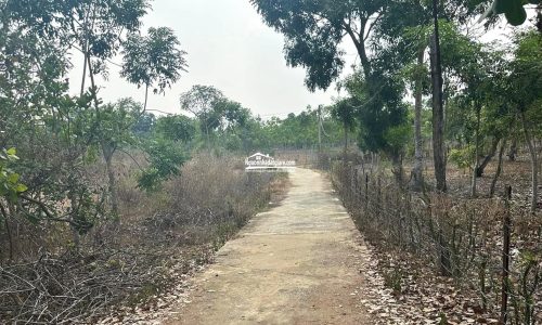Bán đất Bình Phước, đất sào đường Bêtong sạch sẽ giá ngộp bán gấp