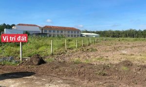 Đất Nha Bích Chơn Thành Bình Phước 3.600m2 cần bán