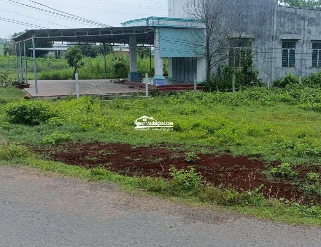 Bán đất Đồng Phú Bình Phước giá 290 triệu sổ sẳn thổ cư