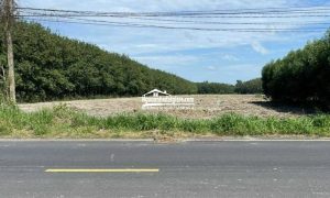 Đất Bình Phước giá rẻ, đất mặt tiền đường 32m, khu dân đông