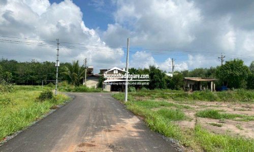 Đất sào Tân Hòa huyện Đồng Phú, shr ngay xã Tân Hòa