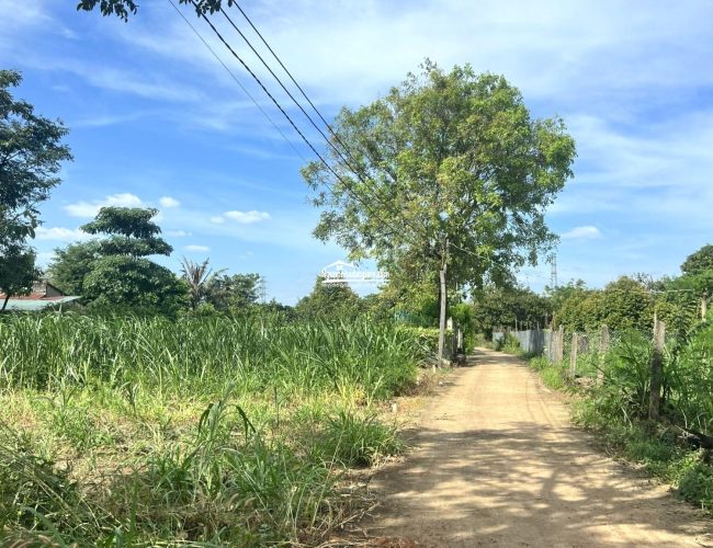 Bán đất vườn Bình Phước mặt tiền Bêtong, dân đông, lên được thổ cư