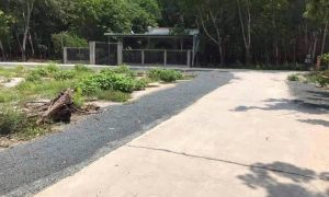Sang gấp 2.100m2 đất đẹp gọi 0969 950 161 khu dân đông gần trường