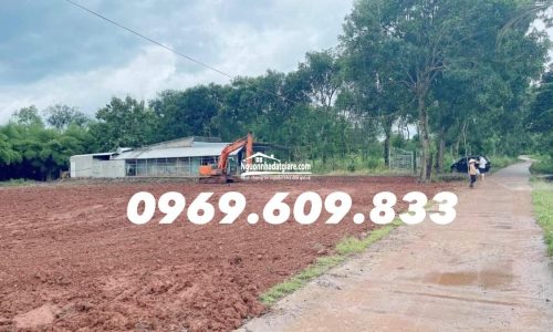 Bán đất 1.500m2 giá 295 triệu tại Bình Long, Bình Phước sổ sẵn