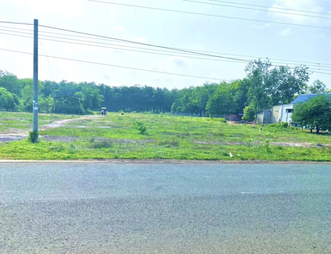 Bán gấp 2.200m2 đất đường thông ra KCN đang hoạt động