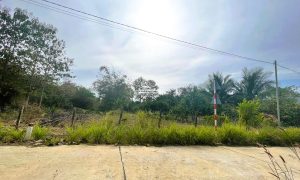 Cần bán đất Bình Phước lỗ 2.200m2 đất giá 190 triệu