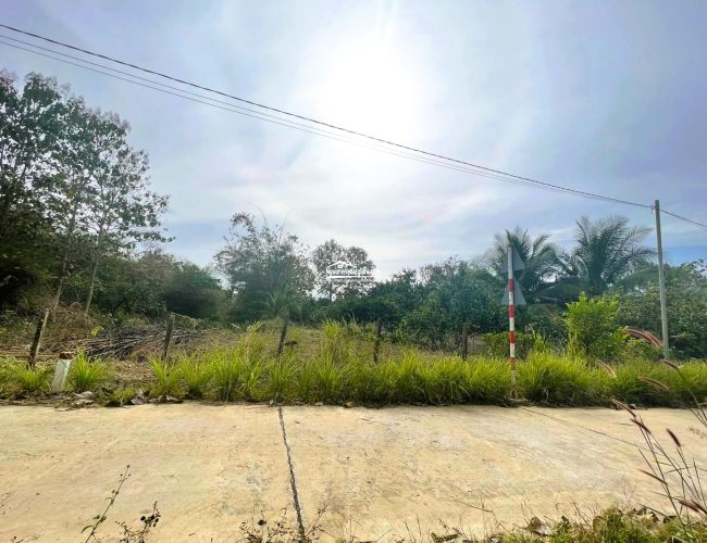 Cần bán đất Bình Phước lỗ 2.200m2 đất giá 190 triệu