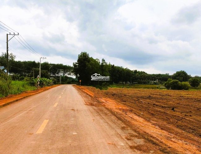 Đất Bình Phước 3.600m2 giá 260 triệu mặt tiền tỉnh lộ rộng 42m