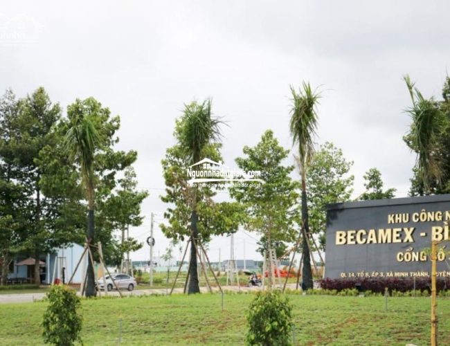 Bán đất Chơn Thành Bình Phước giá rẻ sổ sẵn, gần Becamex