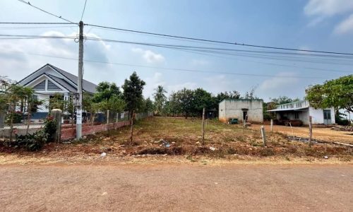 Bán đất Đồng Nai 2.500m2, sổ riêng, sát chợ và nhà máy