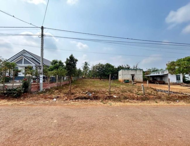 Bán đất Đồng Nai 2.500m2, sổ riêng, sát chợ và nhà máy