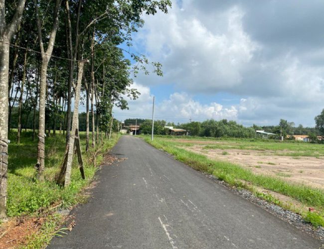 Cần bán đất giá rẻ huyện Đồng Phú, Bình Phước