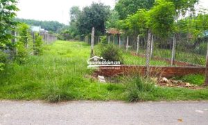 Chính chủ cần bán gấp 2 sào đất vườn Bình Phước giá ngộp