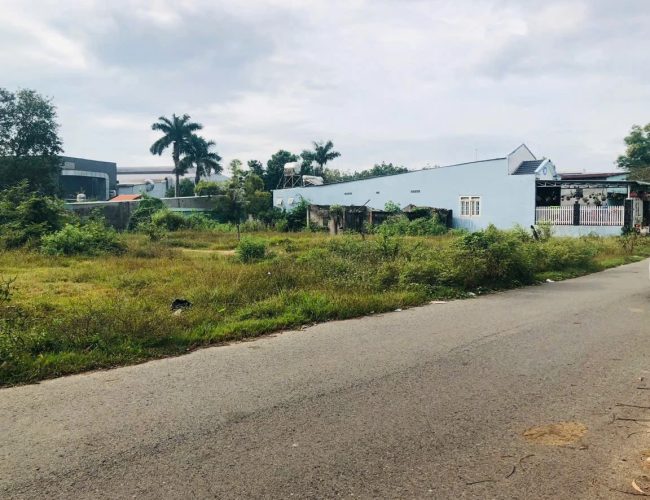 Kẹt tiền bán 3.000m2 quy hoạch đất ở, shr, ngay ủy ban và chợ đông