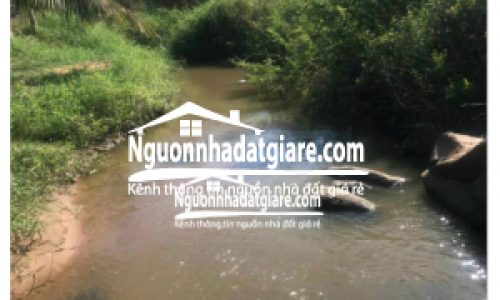 Đất thổ cư Đồng Nai có suối đẹp UBND Sông Ray chính chủ bán