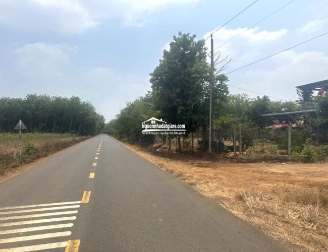 Bán đất Bình Phước đường ĐT.758 hướng trung tâm TP. Đồng Xoài