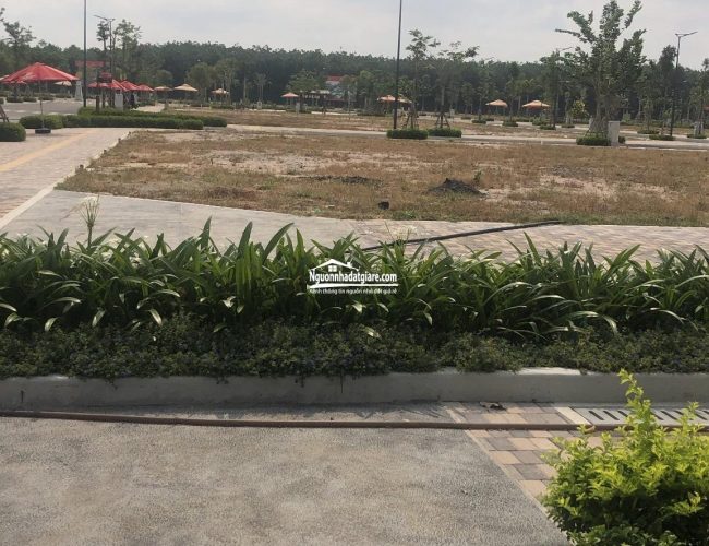 Bán đất Bình Phước sau lưng ủy ban thị xã Chơn Thành