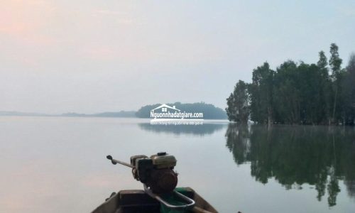 Đầu tư đất view hồ Bình Phước giá rẻ sinh lời cao
